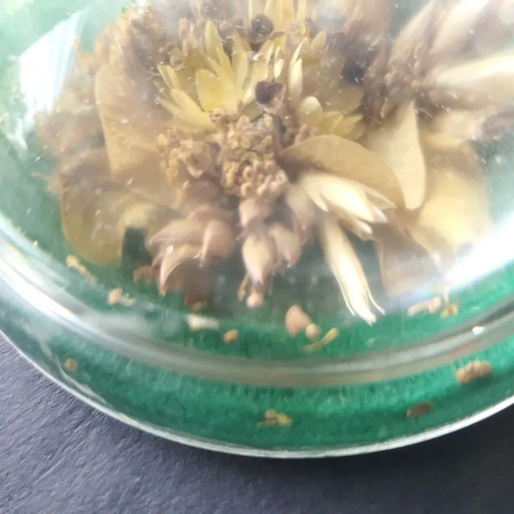 Vintage Paperweight Dried Flowers Round Green Nottingham Originals Eastville VA